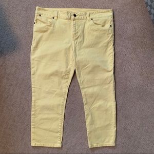 🛍 TALBOTS Signature Slim Crops